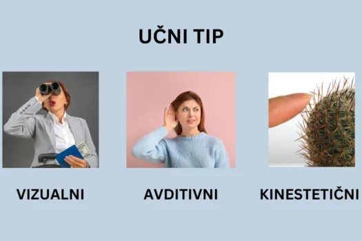 Kateri učni tip ste?